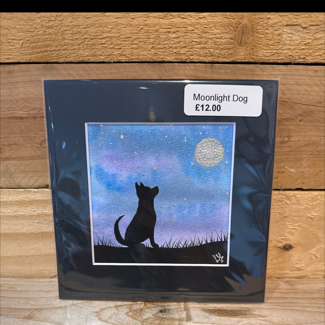 Moonlight Dog 