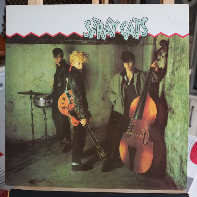 STRAY CATS 