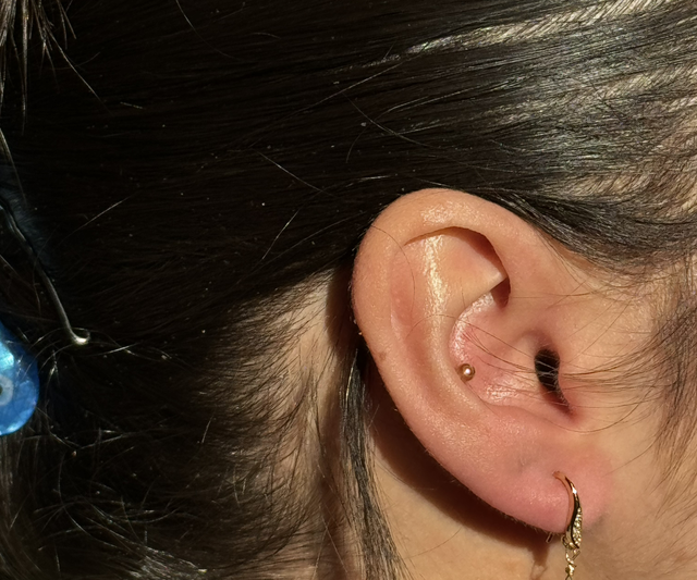 Créoles Perla Grenat