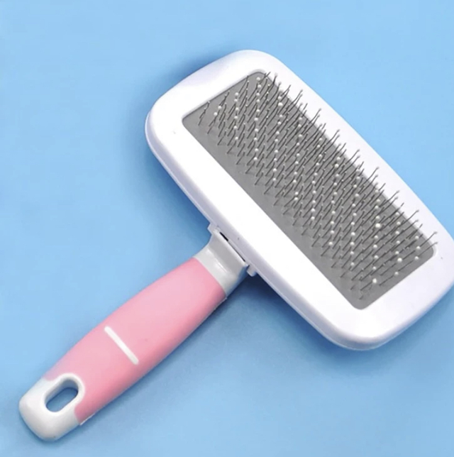 Dog grooming needles 