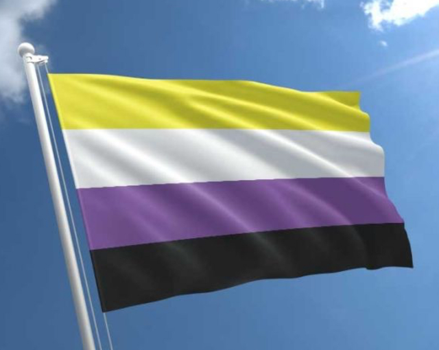 Non Binary Flag
