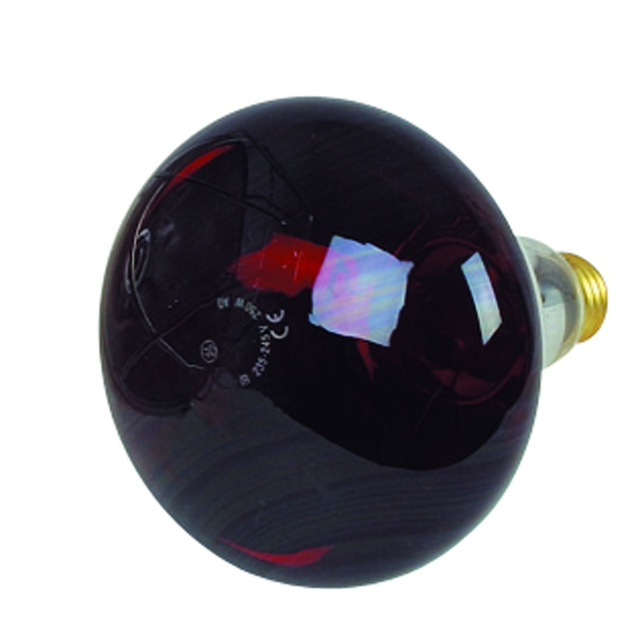 Ampoule infra-rouge 250w