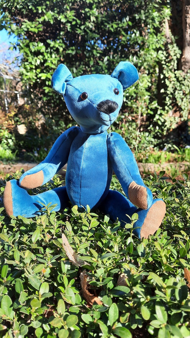 Ours de collection velours