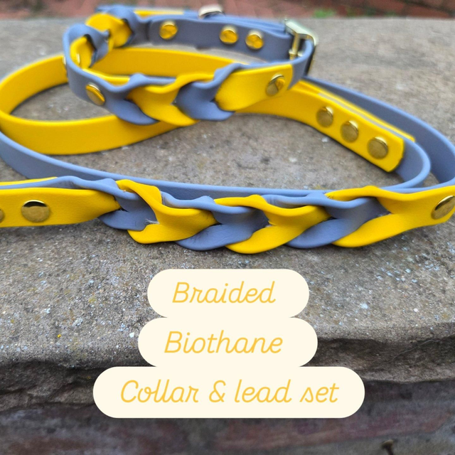  Biothane braided collar &amp; lead set - yellow &amp; grey 16mm x to fit neck 12-15 ins
