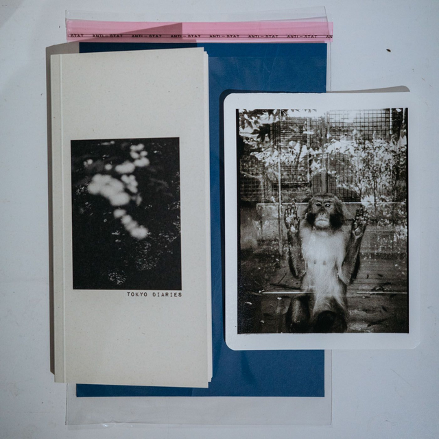 Tokyo Diaries with 1 darkroom print