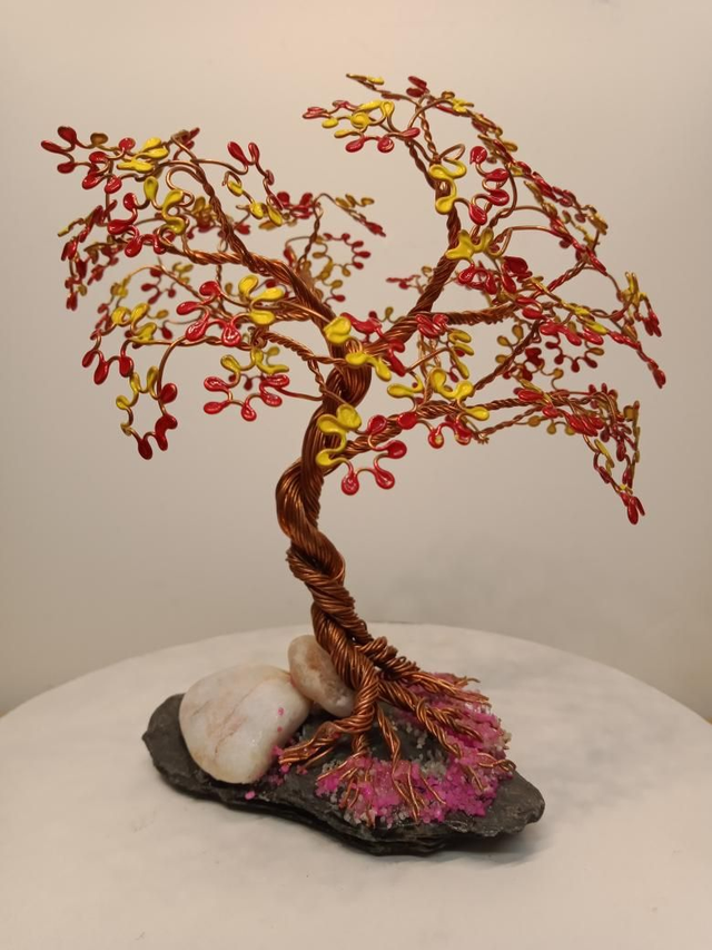 Arbre de vie, Petit Catalan 