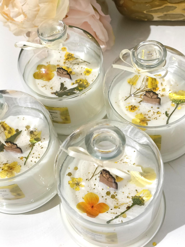Bougie cloche mimosa