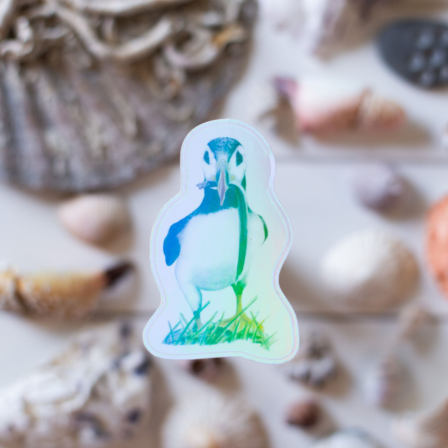 Atlantic Puffin - Vinyl Sticker