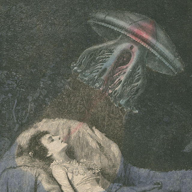 L'aspiradora d'ànimes