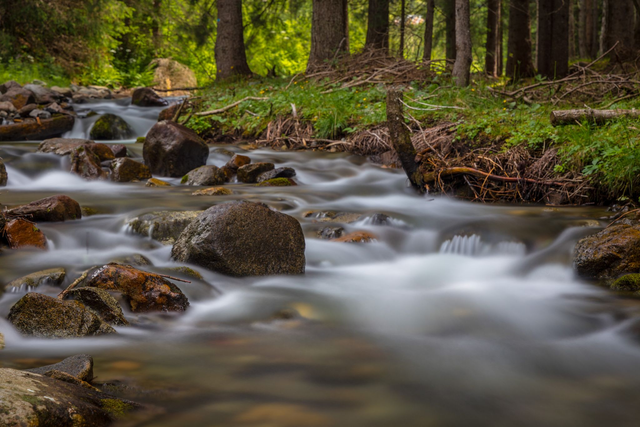 Torrente montano