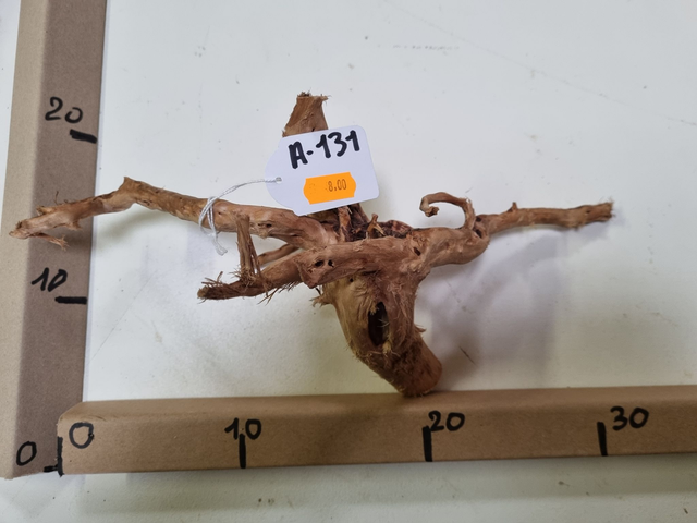 Racine araignée A-131