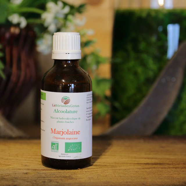 Alcoolature Marjolaine