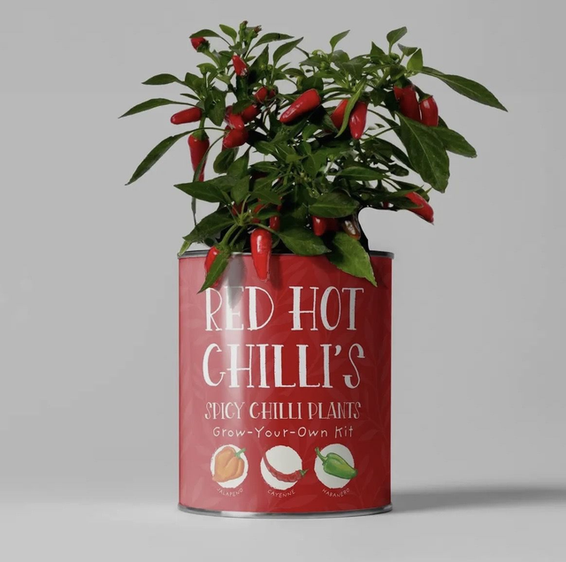 red hot chillies kit