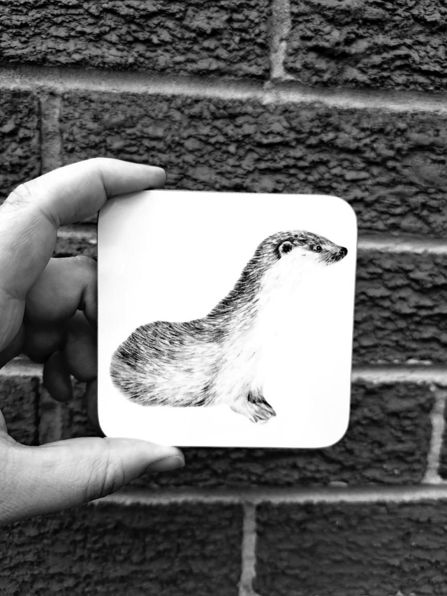 Otter Coaster