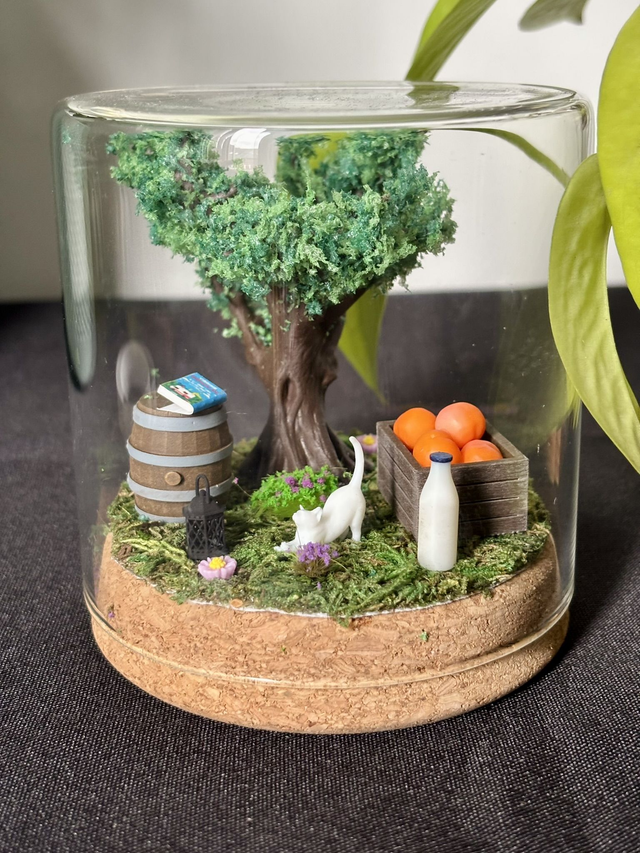 đ Terrarium verre 10cm - Ădition Ă©tĂ©