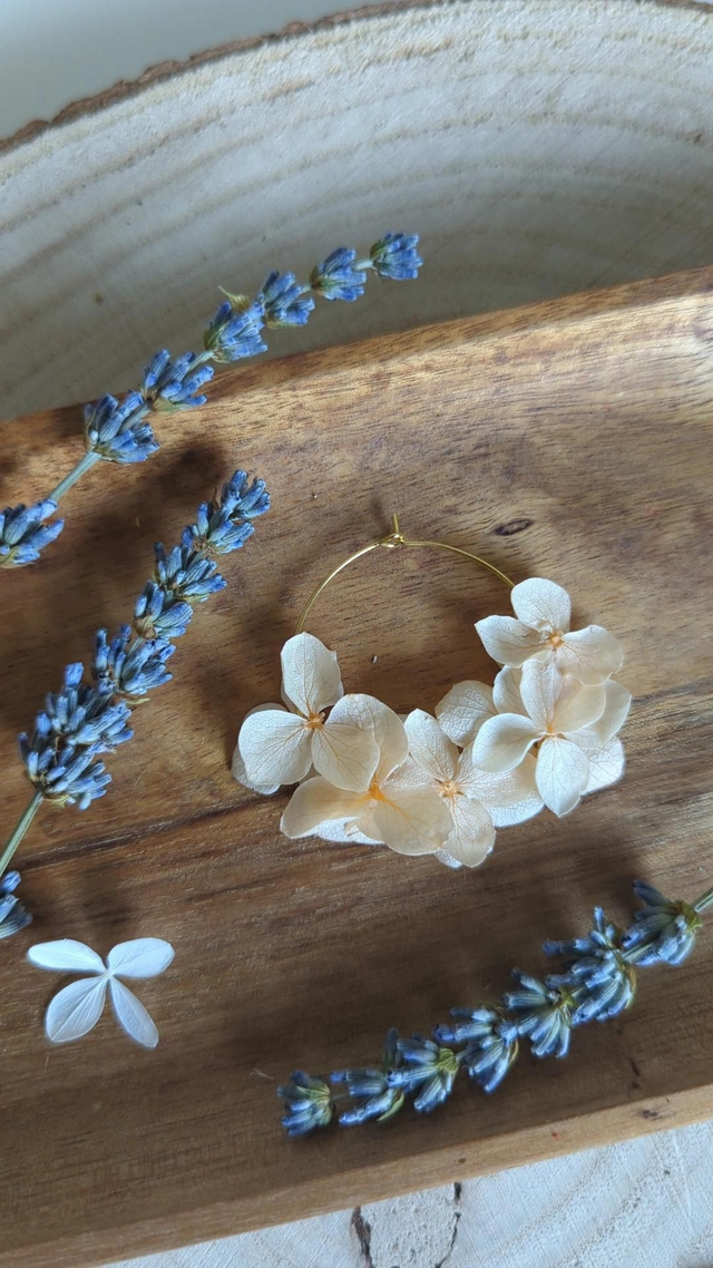 Boucles d'oreilles créoles - Différents coloris