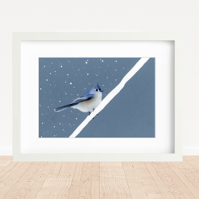 Mésange Bicolore N°1