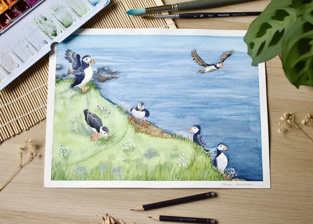 Aquarelle originale - La falaise aux macareux