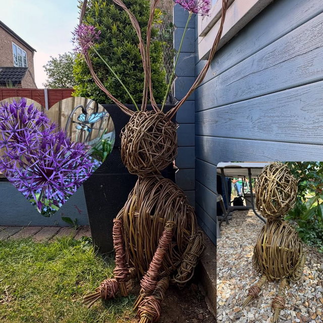Hare Weaving Day Saturday 22nd August 9-5pm