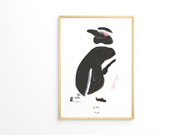 Manchot de Magellan - A5