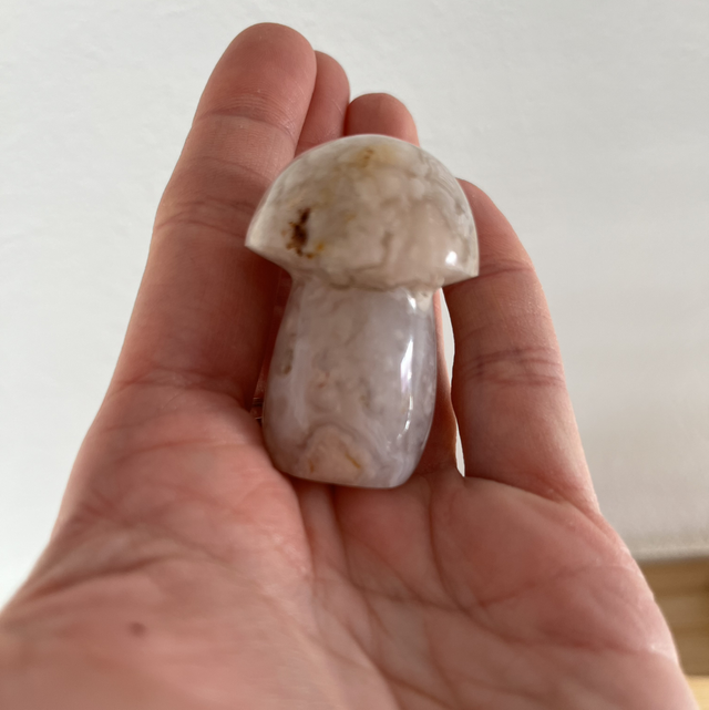 Champignons agate fleur 