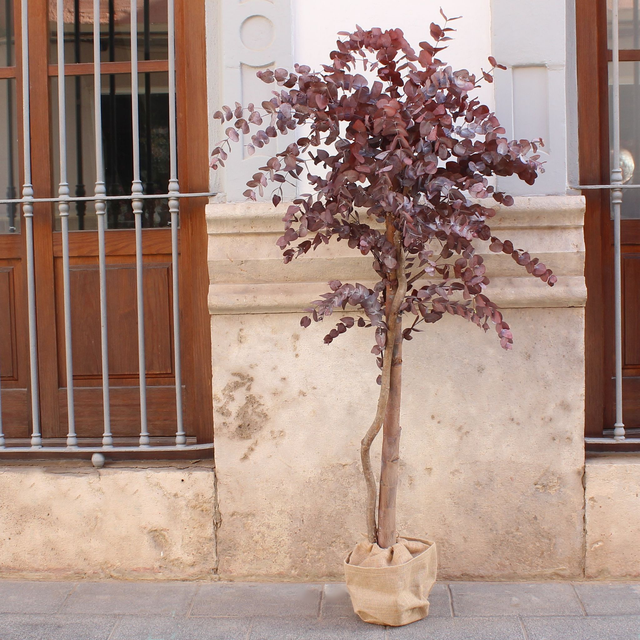 ARBOL CL468BU EUCALIPTO PRESERVADO burdeos 170cm