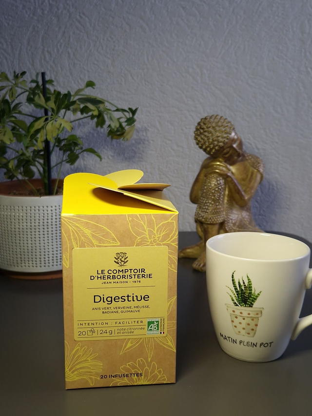 TISANE INFUSETTE DIGESTIVE BIO (x20)