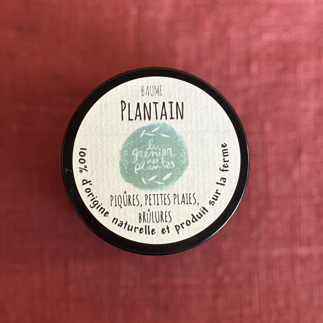 Baume Plantain 