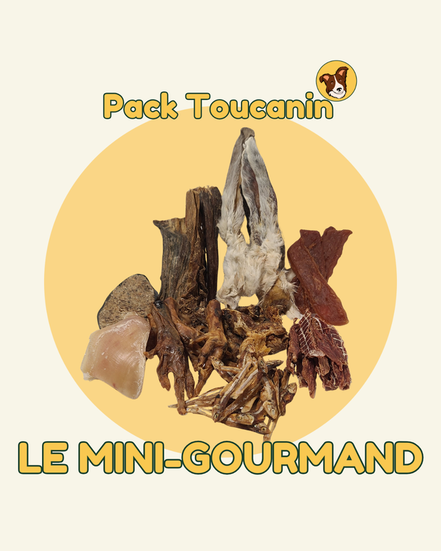 Pack &quot;MINI-GOURMAND&quot; mastication