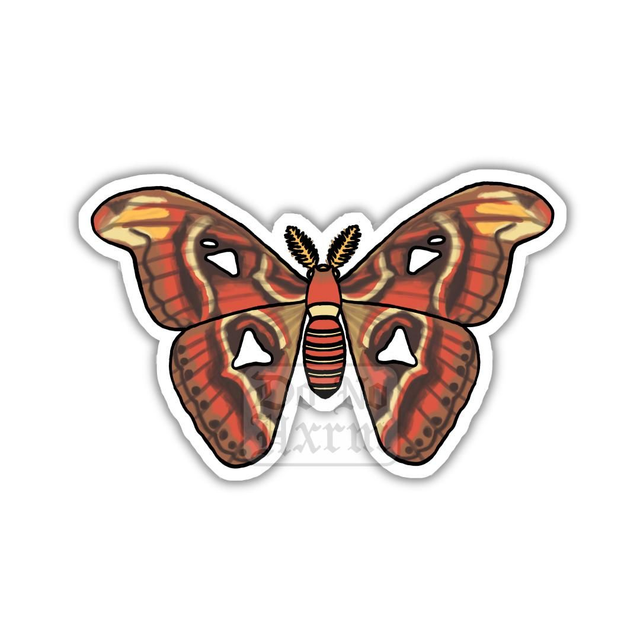 Atlas Moth Sticker