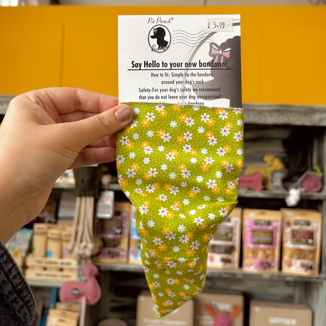 Pet Pooch Boutique Golden Green Daisy Floral Dog Bandana - Small/Medium