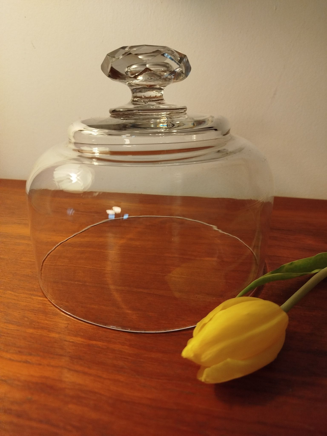 Cloche en verre 