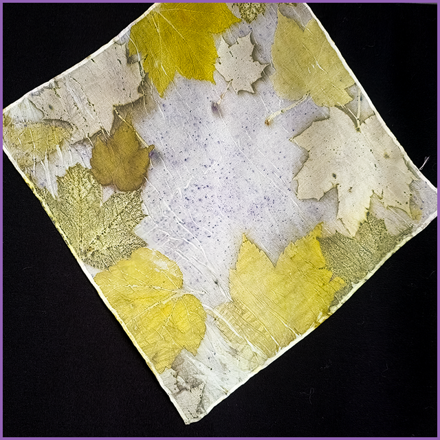 100% Silk Pocket Square - eco printed with maple and sycamore leaves and blanket dyed with logwood