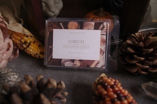 Fondant parfumé Lorelei — Vanille, Caramel &amp; Cannelle