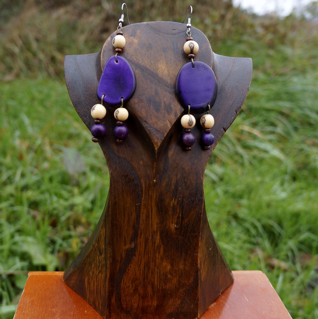 Grandes chips violettes avec graines