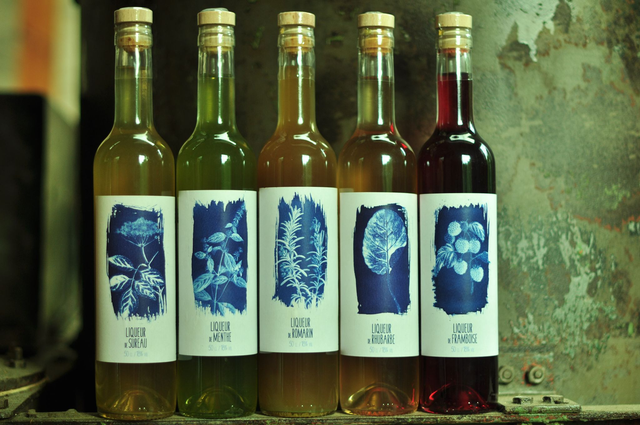 Liqueur de romarin bio 50cl