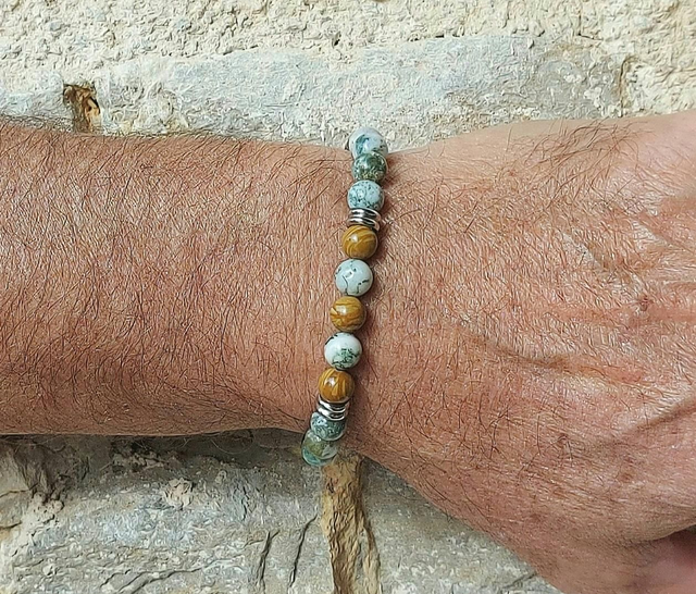 Jaspe Bois et Agate Arbre