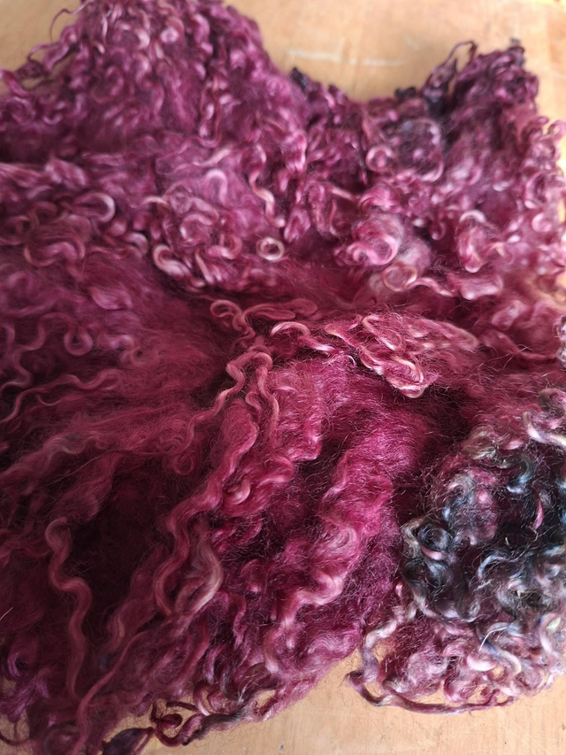 Toison0011PD morceau teeswater 65g