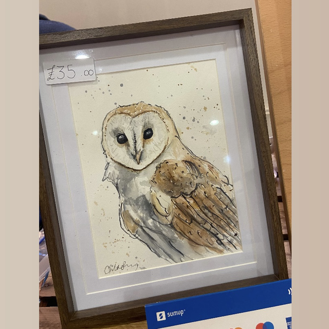 Original ‘Barney’ the Barn Owl A5 print in dark wood effect frame 