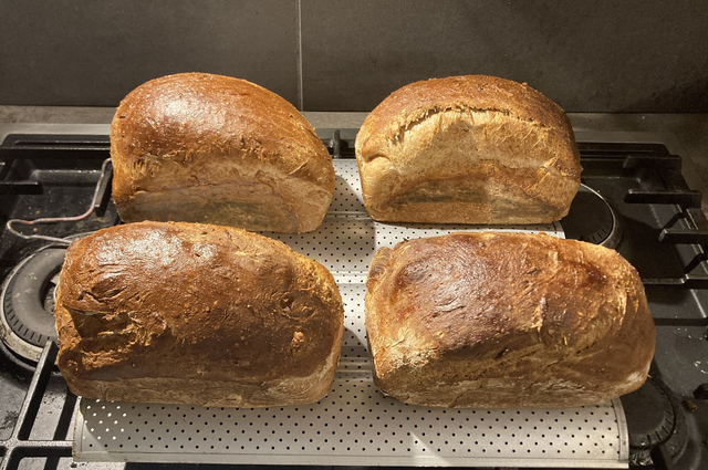 Pain de mie sans gluten