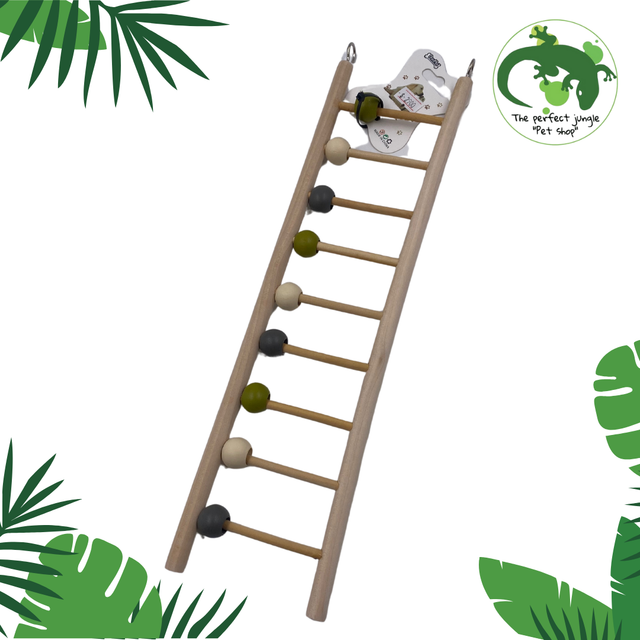 Escalera de Madera Ave