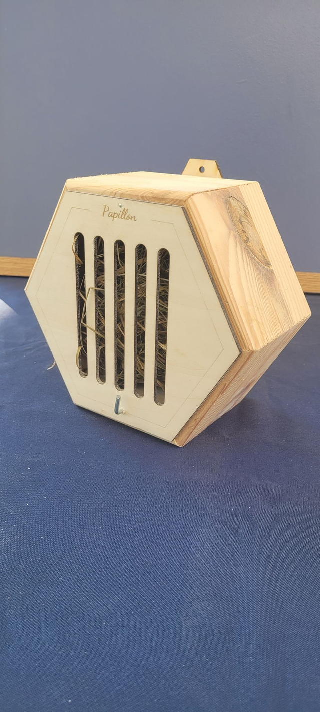 Hôtel à insectes 🐞