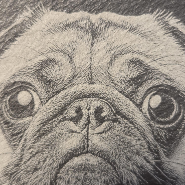 Custom Pet Portrait
Slate Coaster -
Personalised