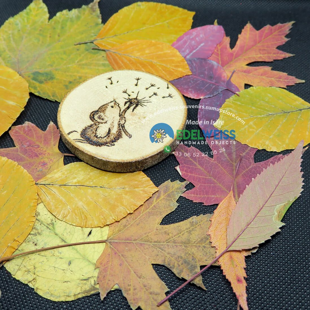 Souris avec pissenlit 