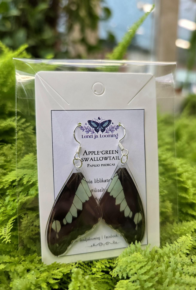 Kõrvarõngad "Apple-green swallowtail"