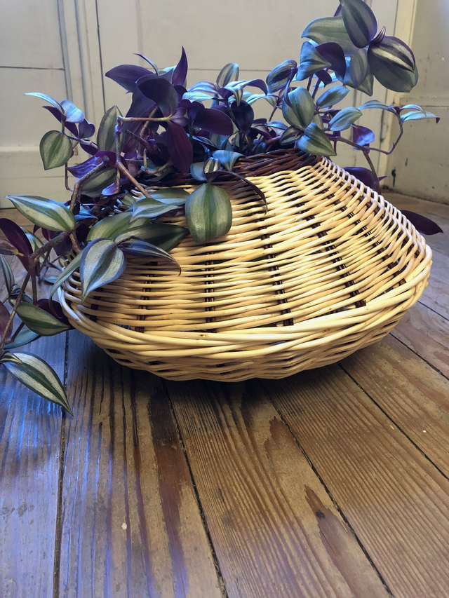 Cache-pot en osier/gourde