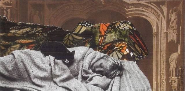 Fais de beaux rêves