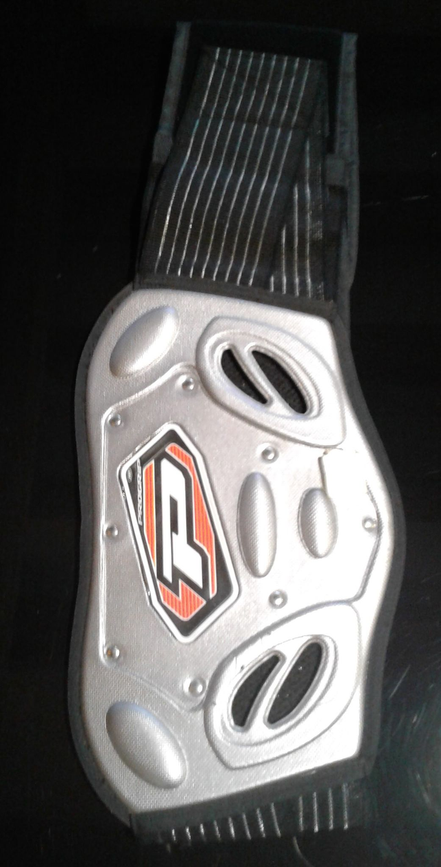 ceinture protection dorsale PROGRIP