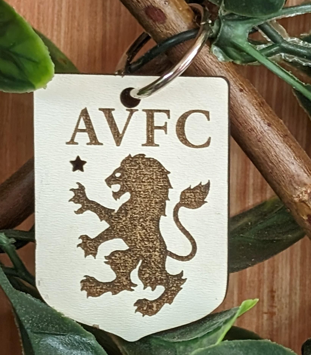 Aston Villa Football club 