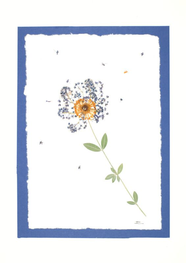 Le Ceanothe  12 € - 22 €